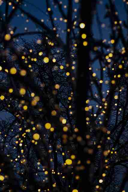 鉴黄师官网入口操作平台改版｜真实案例分析报告模块更智能  第2张