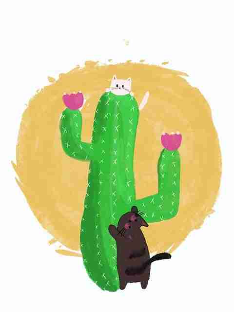 暗网非法内容打击力度升级|深网爬虫行为观察区域波及严重