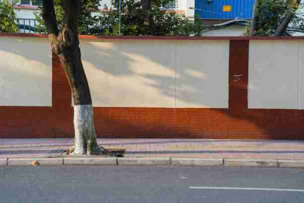 好色先生TV剧情情绪层次剖析｜内容选题风向呈现高级表达