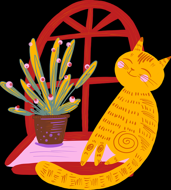 探花视频功能评测报告｜评论热议内容更新带来新感受