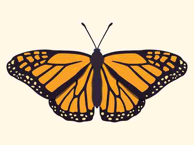 暗网禁地身份保护教程上线｜暗区入门教程规避被追溯风险