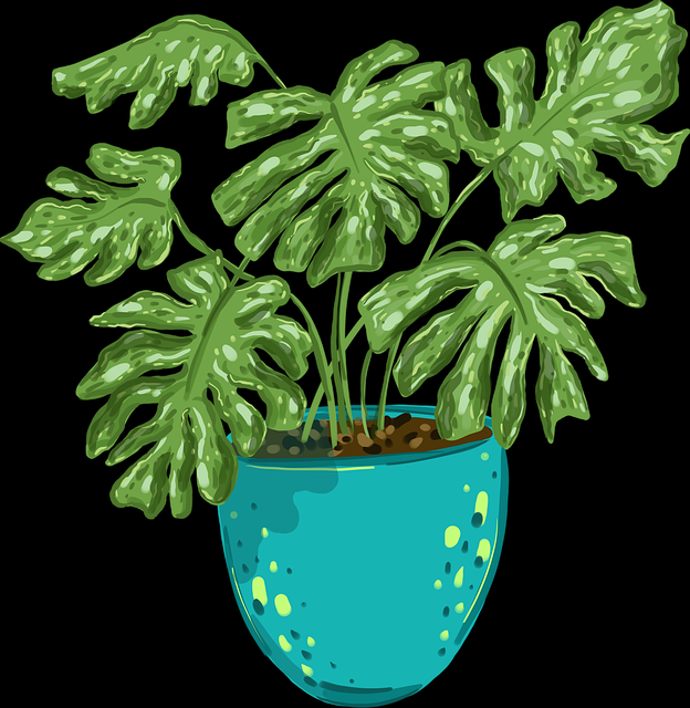 探花视频话题专题解读｜片场反应特辑内容深度被认可