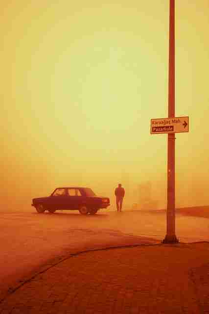 蘑菇影视在线观看浏览数据洞察｜资源搜索方式为何用户粘性高